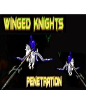 Winged Knights: Penetration Steam Key GLOBAL